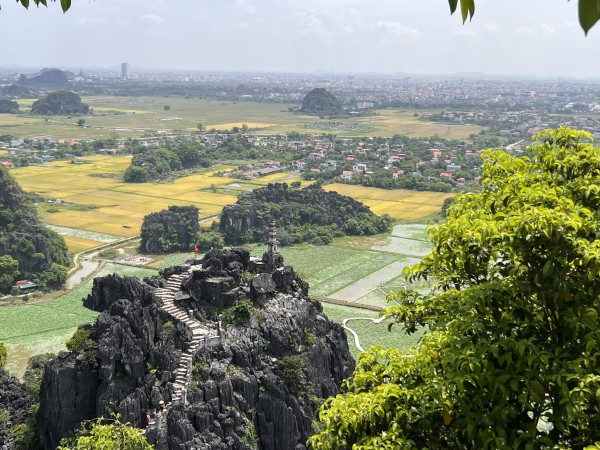 HOA LU TAM COC MUA CAVE 