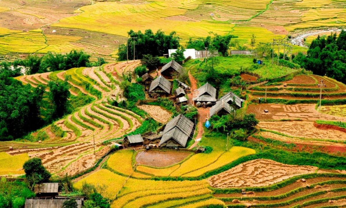 Ảnh tour Vịnh Hạ Long