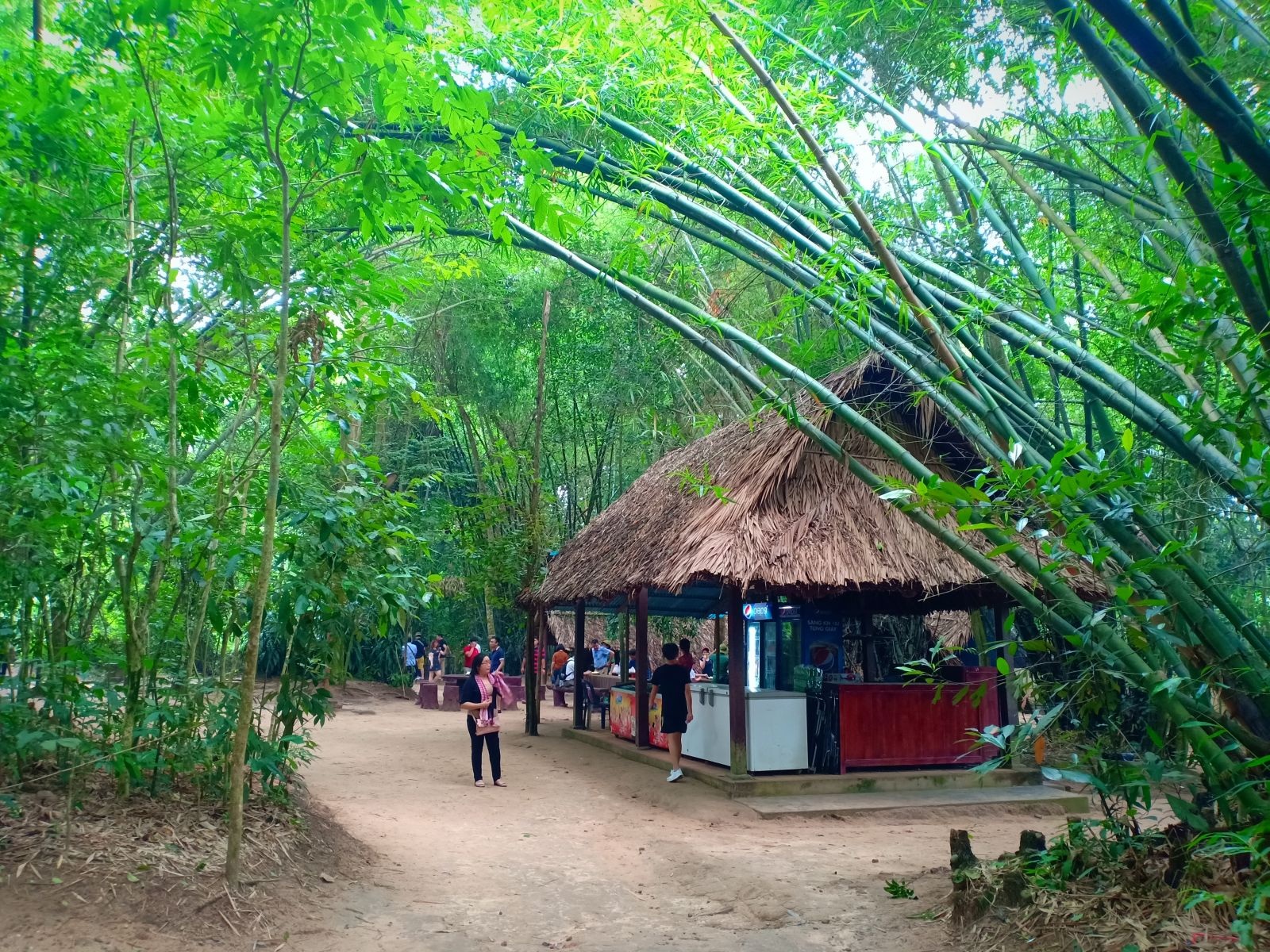 Ảnh tour Vịnh Hạ Long