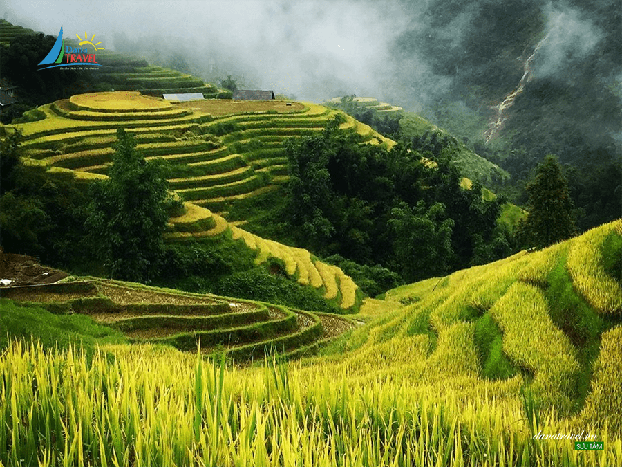 SAPA TOUR BY BUS 2 DAYS 1 NIGHT 