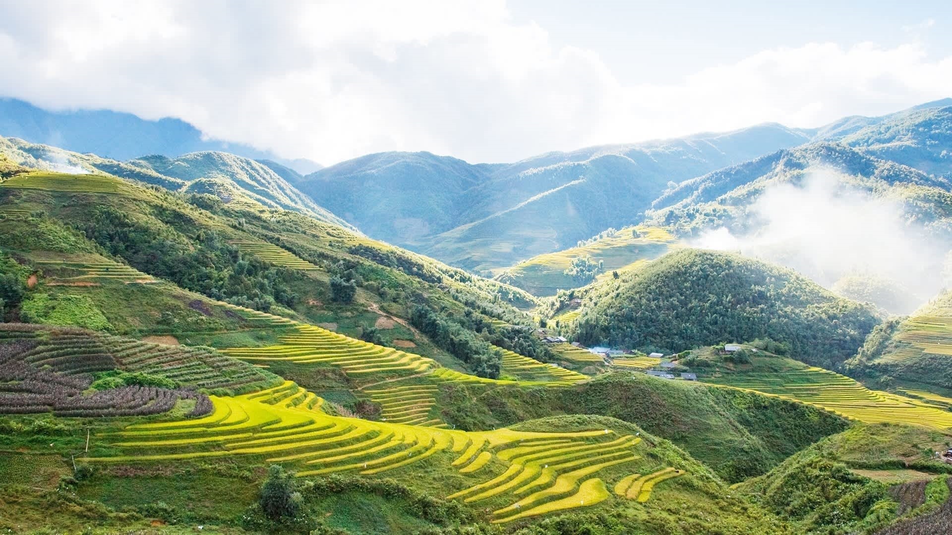 HANOI 6D5N PACKAGE:HA NOI-SAPA -HA LONG 