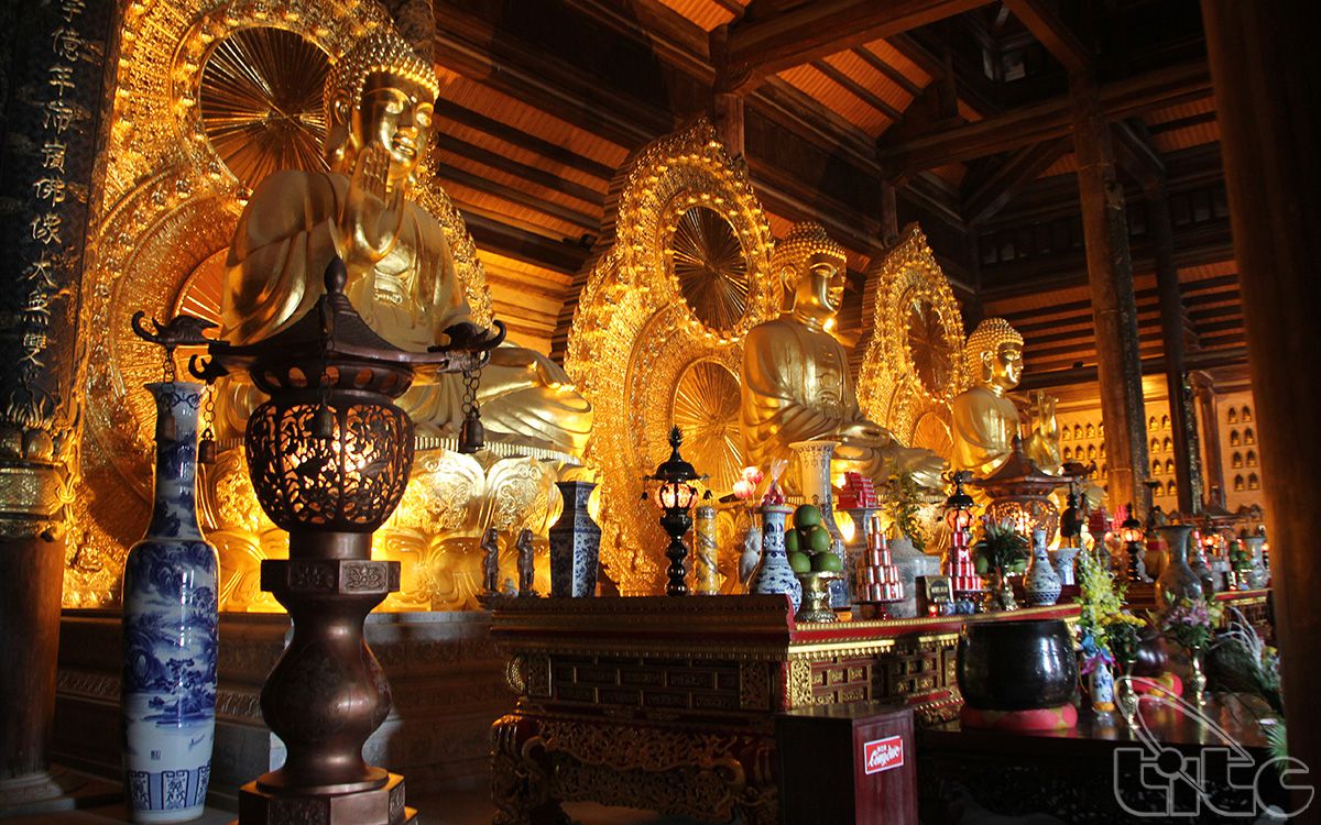BAI DINH PAGODA – TRANG AN CAVE - MUA CAVE
