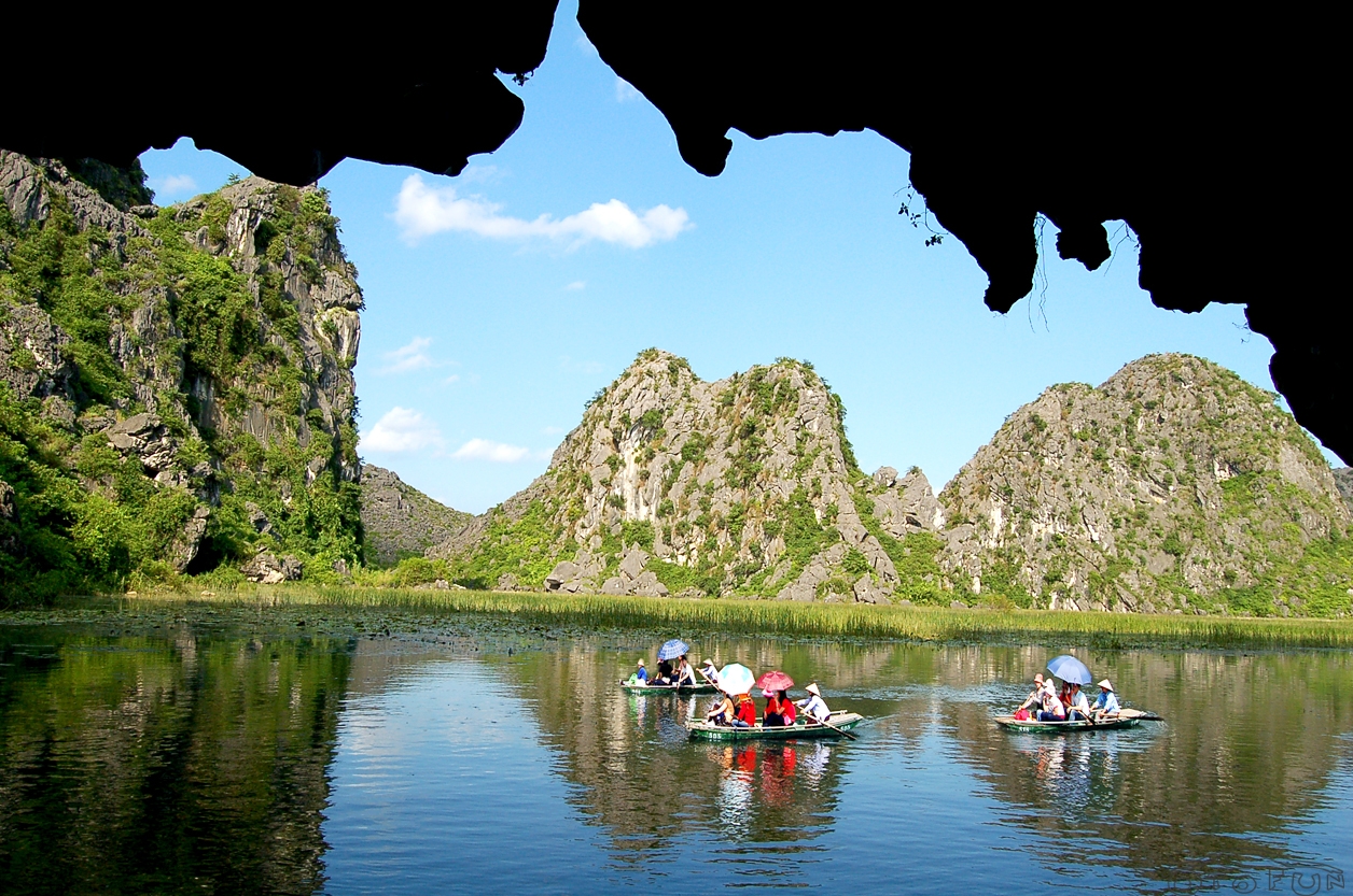 HOA LU TAM COC MUA CAVE 