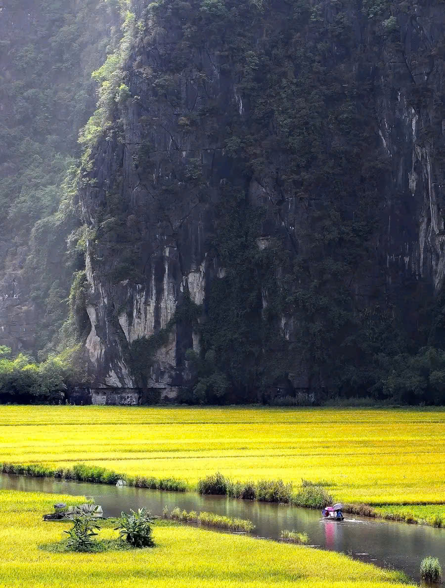 HANOI 7D6N PACKAGE : SAPA  - NINH BINH  - HALONG BAY ( SIC TOUR ) 
